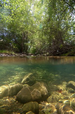 Arroyo-Hondo-Creek-4.jpg