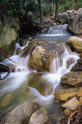 Chap. 9-9, 20100417-Cold-Spring-Creek.jpg