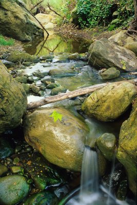 20100417-Jesusita-Creek.jpg