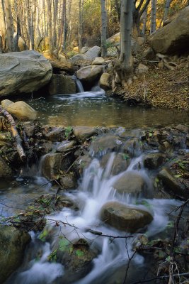 Chap. 9-10, 20100417-Portrero-John-Creek.jpg
