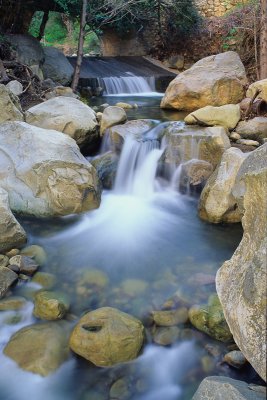 20100417-Rattlesnake-Creek.jpg