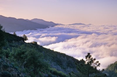 Figueroa Fog-3.jpg