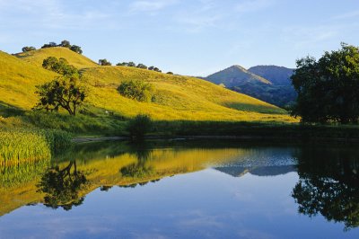 Sedgwick pond.jpg