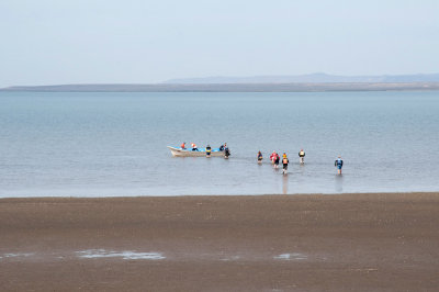 Whale watchers heading out