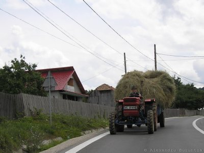 Arges County