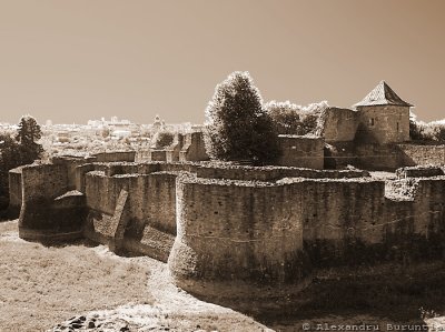 Cetatea de scaun Suceava