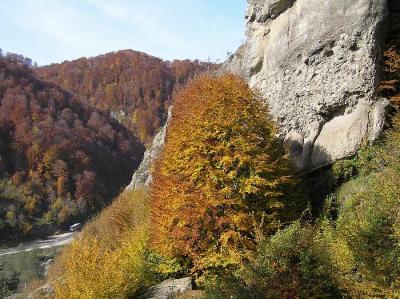 Targoviste - Rucar Valley