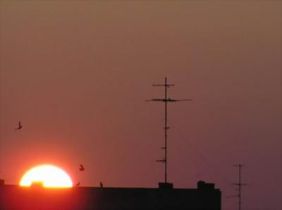Four birds into the Sunrise