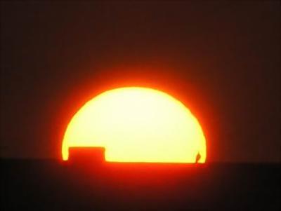 A bird into the Sun...