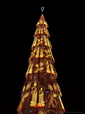 Europe's Tallest Christmas Tree