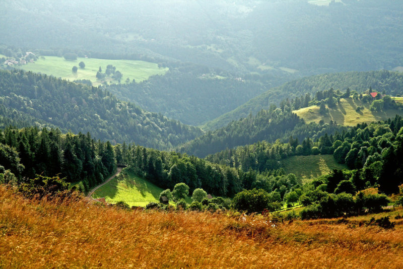 le petit ballon, Vosges du Sud.