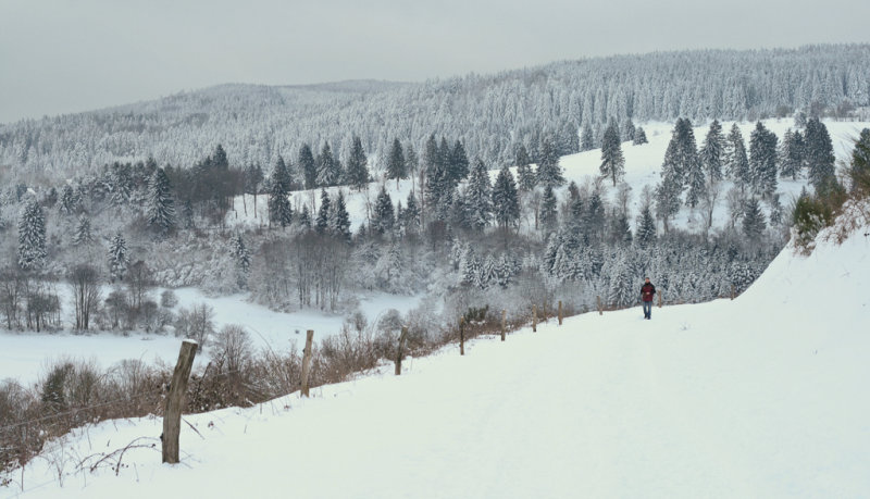  winter in the Vosges mountains.