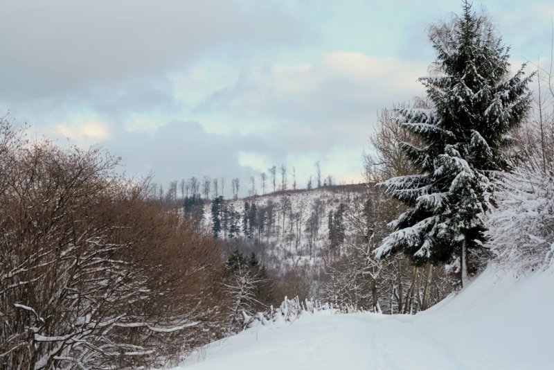 route du Champ du Feu