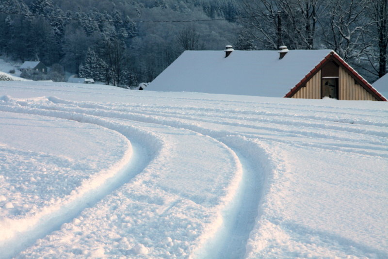 tracks