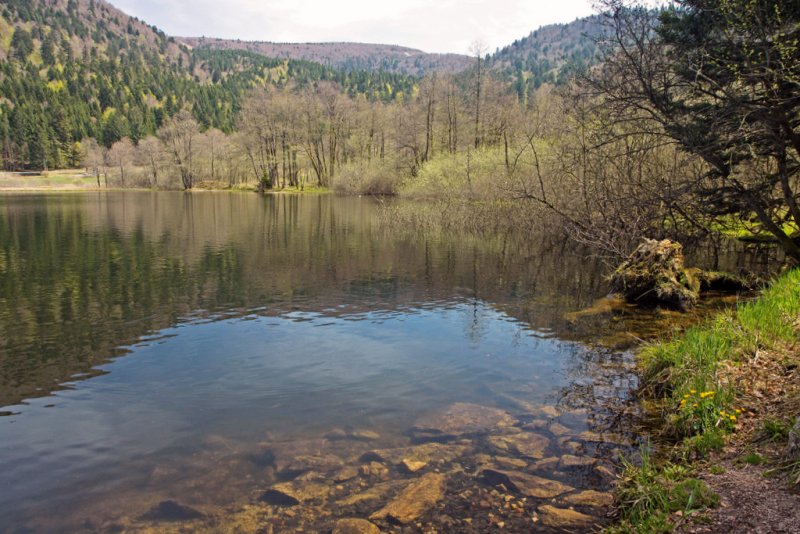 le lac de Retournemer (Vosges)