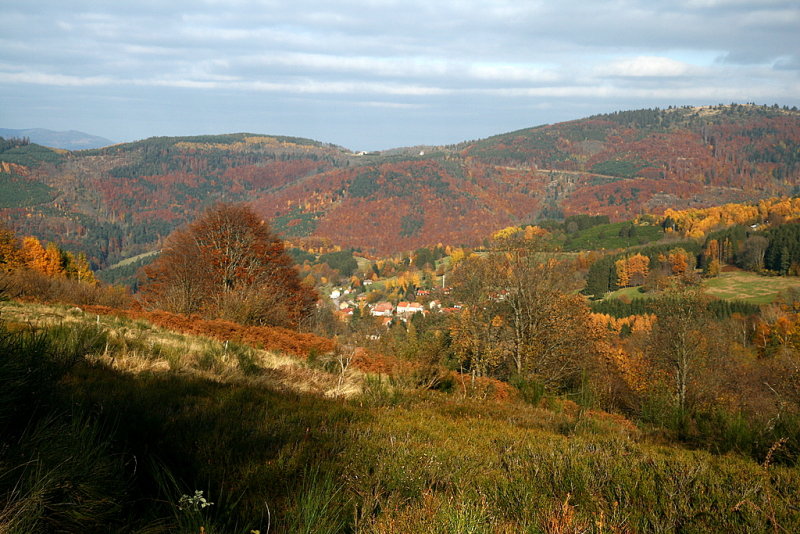 g3/48/614948/2/88484490.anagljAV.jpg