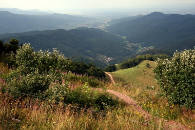 le petit ballon, Vosges du Sud.