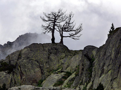 Parc National Aigüestortes & Vall de Boi.