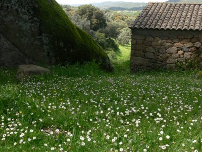 Filitosa # 2
