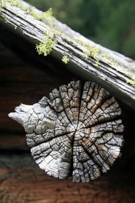 detail of the hut.