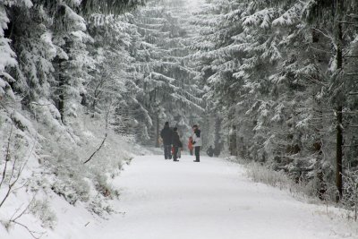 black forest in white #2