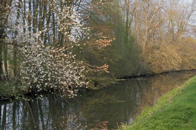 le canal au printemps.
