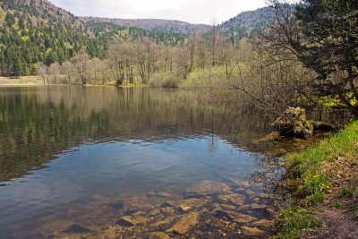 le lac de Retournemer (Vosges)