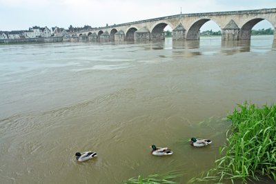 La Loire à Gien.