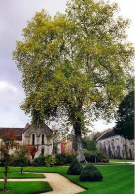 abbaye de fontenay