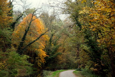 autumn way