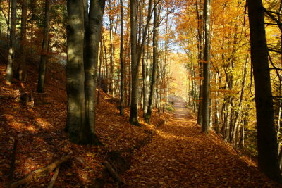 a pleasant walk during three hours on a sunny Sunday afternoon.