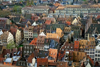 view over strasbourg above the cathedral.