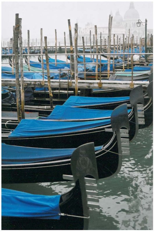 Gondoles de la Piazzetta, Venise 2004