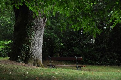 7922 Le Mans - jardin des plantes