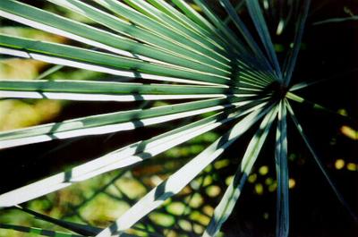 majorelle8_7277_25.jpg