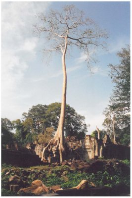 Preah Khan