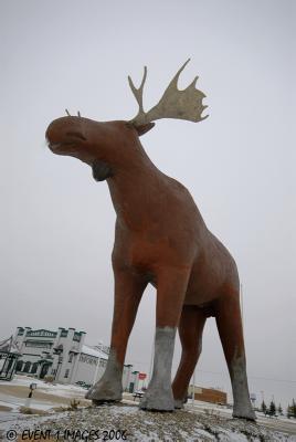 g3/48/623048/3/56799470.March4th2006MOOSEJawsMacTheMoose.jpg