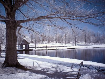 Cox Arboretum #18.