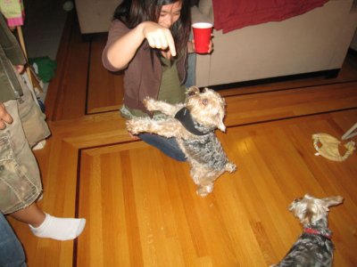 obedient pup!