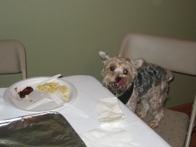 wicket gets a meal