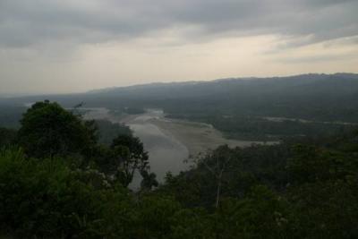 high jungle overview CRW_2663.jpg