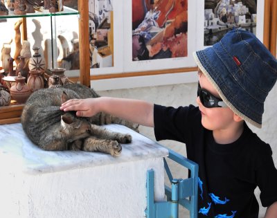 A Pat for the Cat!