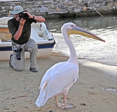 Son John Photgraphing Pelican Petros III