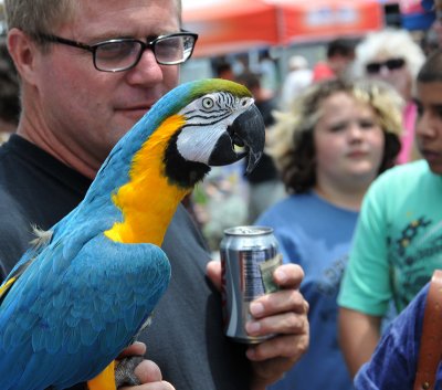 Feathered Friend Participating, but not Drinking Beer!