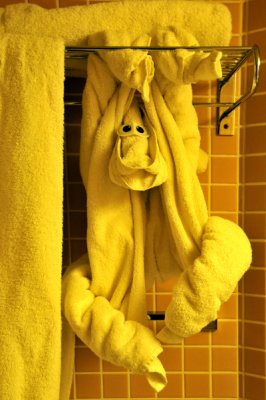 In Meantime, a Monkey Hangs in our Bathroom!