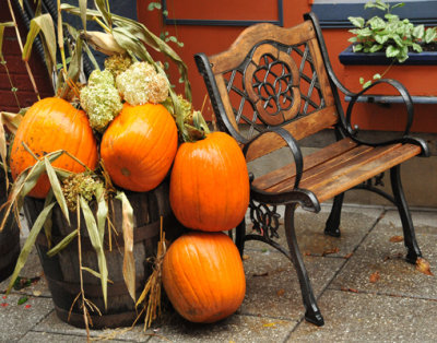 Lovely Pumkins and Chair