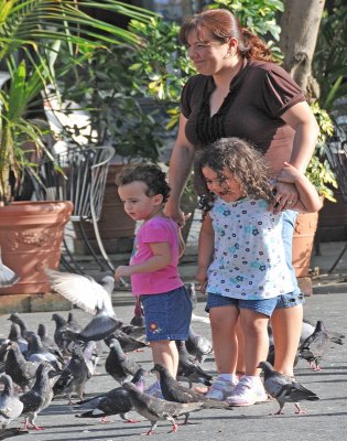 Faces of Puerto Rico family and many pigeons!