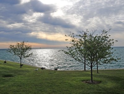 Lakefront -- early morning!