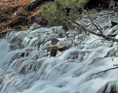 Abundant water in stream.