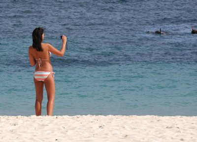 Young woman photographing two snorkle divers